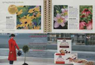 Better Homes & Gardens April 2008 Magazine Article: Page 126