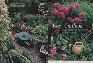 Better Homes & Gardens April 2008 Magazine Article: Rosy Outlook