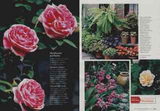 Better Homes & Gardens April 2008 Magazine Article: Page 174