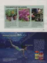 Better Homes & Gardens May 2008 Magazine Article: THIS MONTH IN THE GARDEN