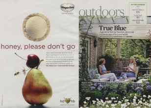 Better Homes & Gardens May 2008 Magazine Article: Page 98