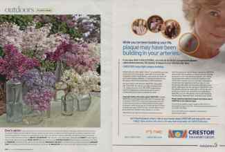 Better Homes & Gardens May 2008 Magazine Article: Page 118