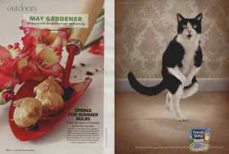 Better Homes & Gardens May 2008 Magazine Article: Page 122