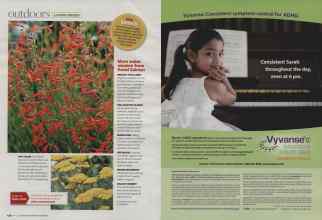 Better Homes & Gardens May 2008 Magazine Article: Page 134