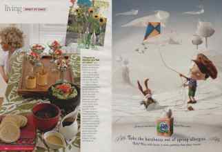 Better Homes & Gardens May 2008 Magazine Article: Page 146