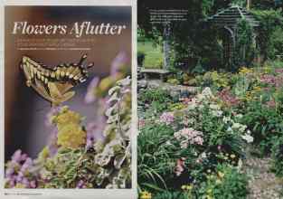 Better Homes & Gardens May 2008 Magazine Article: Flowers Aflutter