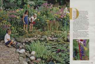 Better Homes & Gardens May 2008 Magazine Article: Page 184