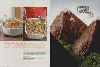 Better Homes & Gardens May 2008 Magazine Article: Page 192