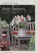 Better Homes & Gardens June 2008 Magazine Article: Shady Characters