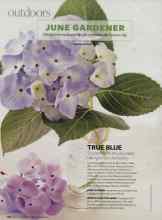 Better Homes & Gardens June 2008 Magazine Article: TRUE BLUE