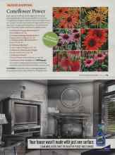 Better Homes & Gardens June 2008 Magazine Article: Coneflower Power