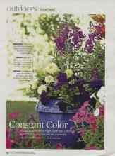 Better Homes & Gardens June 2008 Magazine Article: Constant Color
