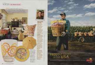 Better Homes & Gardens June 2008 Magazine Article: Page 34