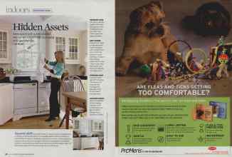 Better Homes & Gardens June 2008 Magazine Article: Page 58
