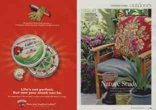 Better Homes & Gardens June 2008 Magazine Article: Page 84