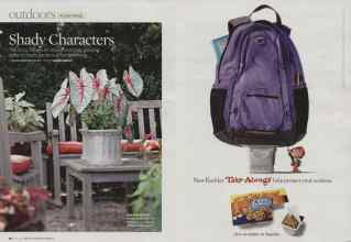 Better Homes & Gardens June 2008 Magazine Article: Page 90