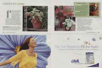 Better Homes & Gardens June 2008 Magazine Article: Page 92