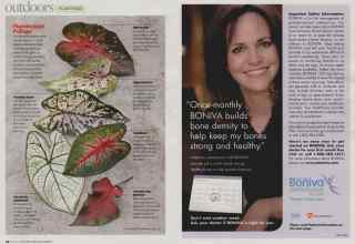 Better Homes & Gardens June 2008 Magazine Article: Page 94