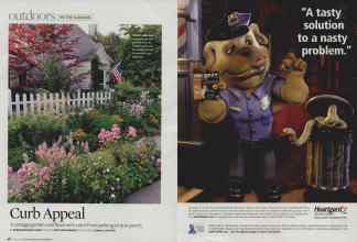 Better Homes & Gardens June 2008 Magazine Article: Page 98