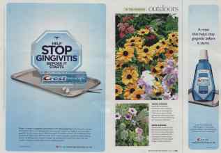 Better Homes & Gardens June 2008 Magazine Article: Page 102