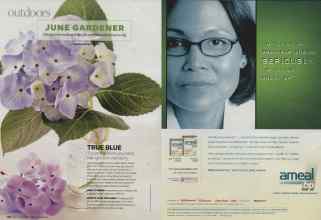 Better Homes & Gardens June 2008 Magazine Article: Page 106