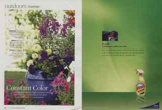 Better Homes & Gardens June 2008 Magazine Article: Page 114