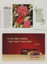 Better Homes & Gardens July 2008 Magazine Article: SHINE ON