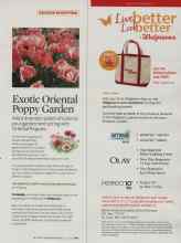 Better Homes & Gardens July 2008 Magazine Article: Exotic Oriental Poppy Garden