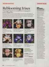 Better Homes & Gardens July 2008 Magazine Article: Reblooming Irises