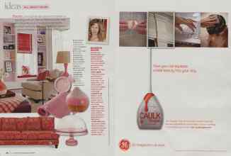 Better Homes & Gardens July 2008 Magazine Article: Page 26