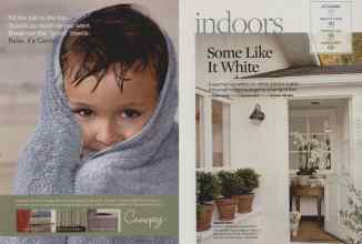 Better Homes & Gardens July 2008 Magazine Article: Page 38