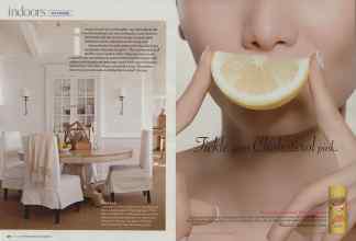 Better Homes & Gardens July 2008 Magazine Article: Page 40