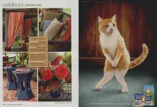 Better Homes & Gardens July 2008 Magazine Article: Page 78