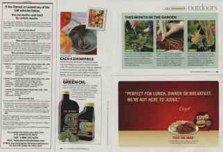 Better Homes & Gardens July 2008 Magazine Article: Page 94