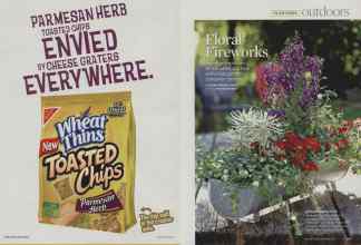 Better Homes & Gardens July 2008 Magazine Article: Page 100