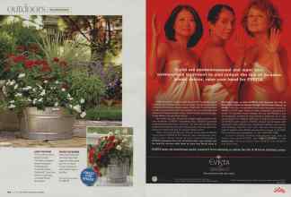 Better Homes & Gardens July 2008 Magazine Article: Page 104