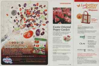 Better Homes & Gardens July 2008 Magazine Article: Page 120