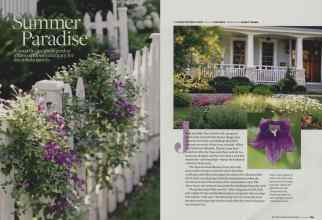 Better Homes & Gardens July 2008 Magazine Article: Summer Paradise