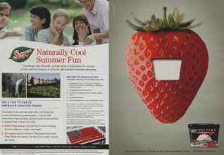 Better Homes & Gardens July 2008 Magazine Article: Page 170