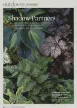 Better Homes & Gardens August 2008 Magazine Article: Shadow Partners