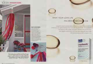 Better Homes & Gardens August 2008 Magazine Article: Page 22