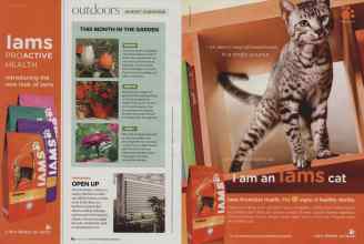 Better Homes & Gardens August 2008 Magazine Article: Page 84