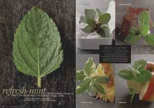 Better Homes & Gardens August 2008 Magazine Article: Refresh-mint