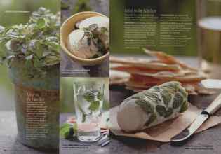 Better Homes & Gardens August 2008 Magazine Article: Page 120