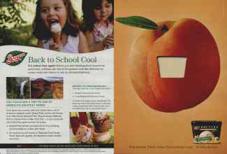 Better Homes & Gardens August 2008 Magazine Article: Page 144