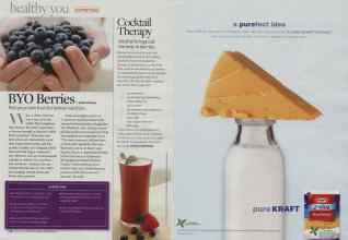 Better Homes & Gardens August 2008 Magazine Article: Page 172