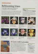 Better Homes & Gardens September 2008 Magazine Article: Reblooming Irises