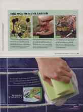 Better Homes & Gardens September 2008 Magazine Article: THIS MONTH IN THE GARDEN