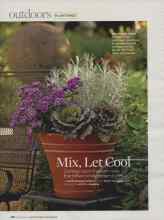 Better Homes & Gardens September 2008 Magazine Article: Mix, Let Cool