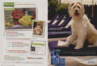 Better Homes & Gardens September 2008 Magazine Article: Page 18